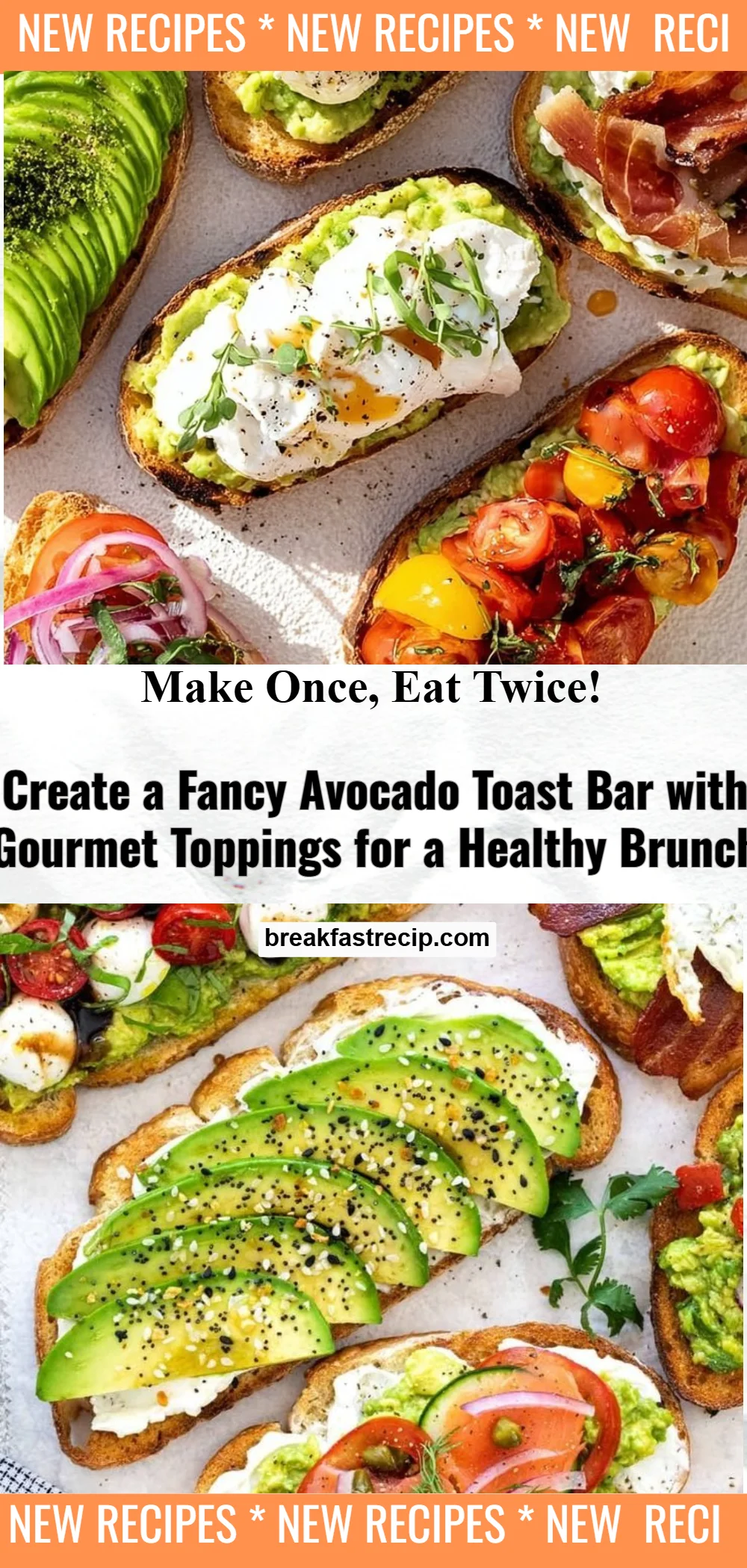 Avocado Toast 5 Avocado Toast