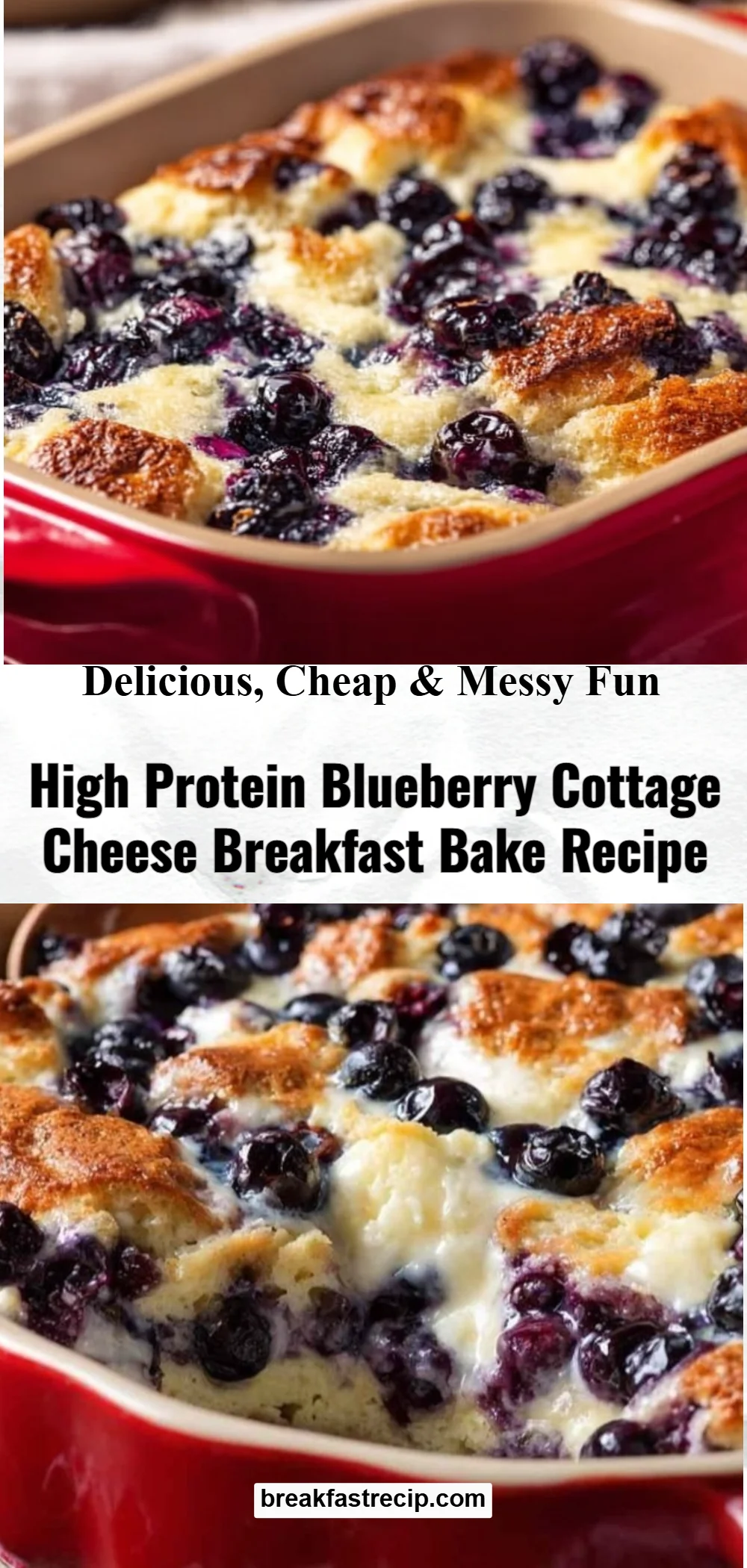 Blueberry Cottage Cheese Breakfast Bake