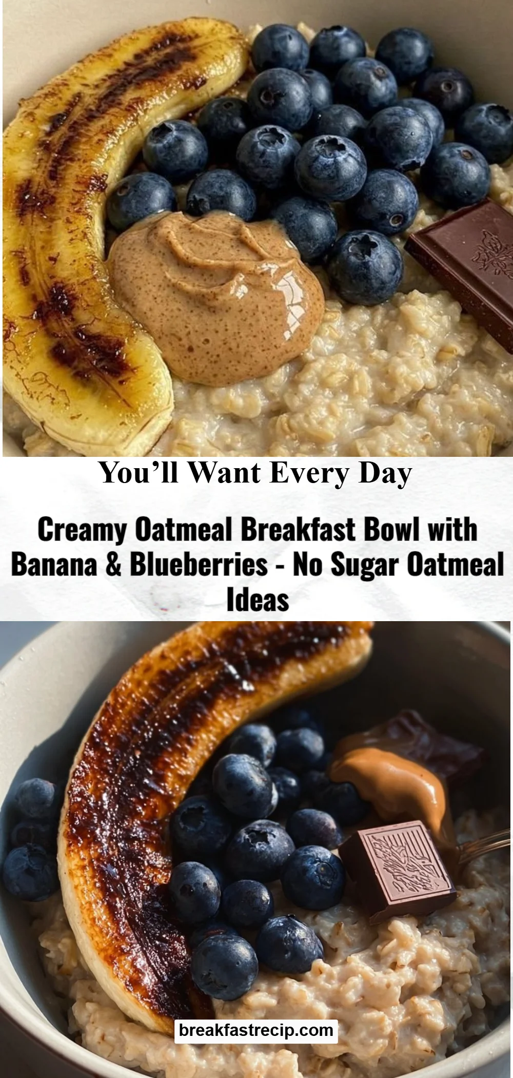 Creamy Oatmeal Breakfast Bowl 6 Creamy Oatmeal Breakfast Bowl