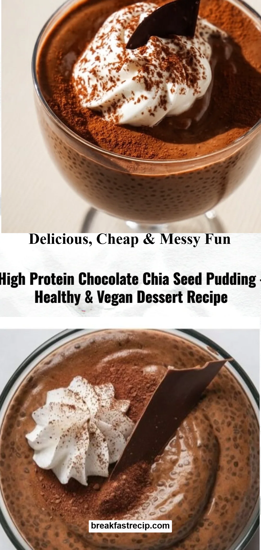 High Protein Chocolate Chia Seed Pudding