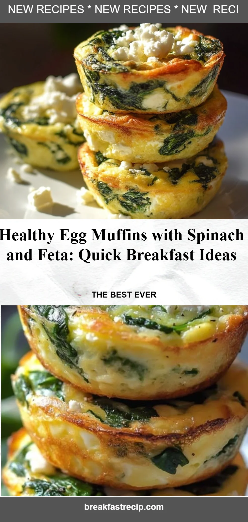 Egg Muffins with Spinach and Feta 6 Egg Muffins with Spinach and Feta