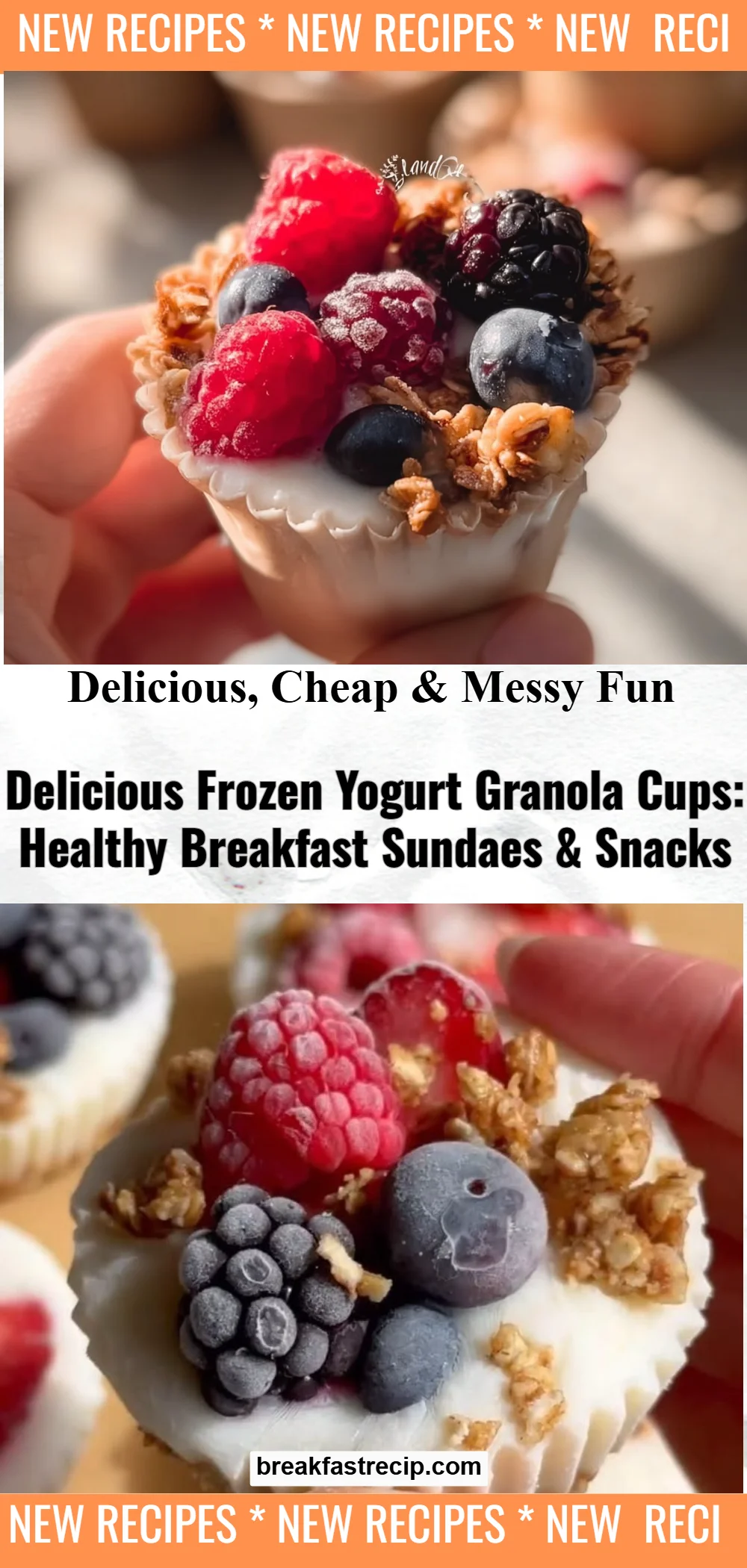 Frozen Yogurt Granola Cups