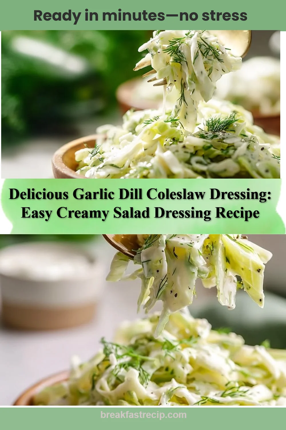 Garlic Dill Coleslaw Dressing 6 Garlic Dill Coleslaw Dressing