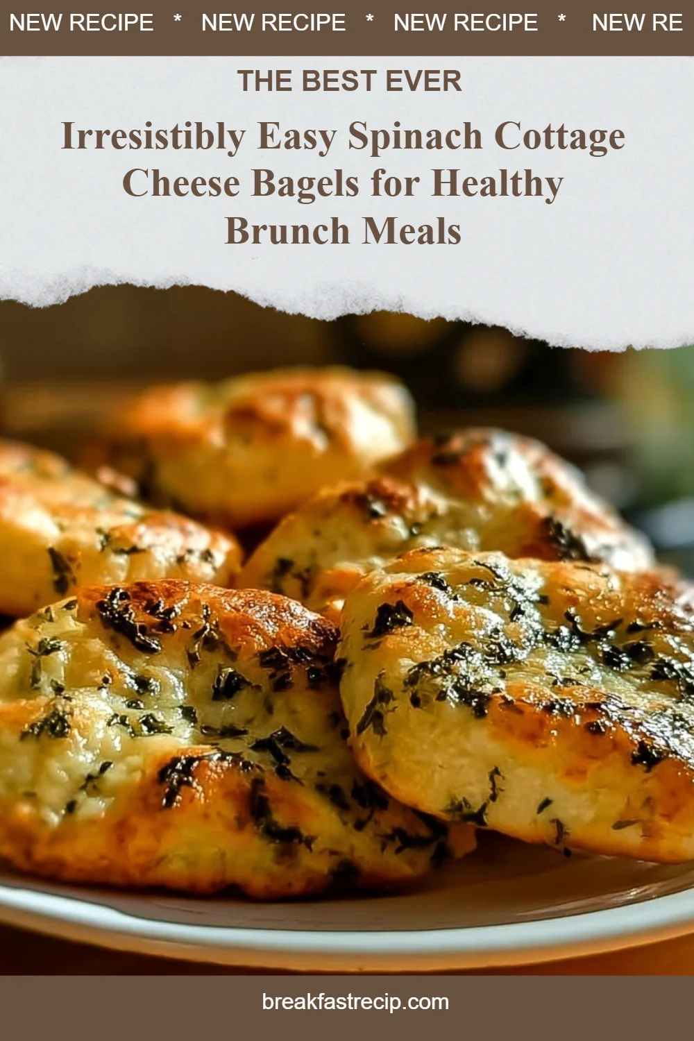 Irresistibly Easy Spinach Cottage Cheese Bagels 6 Irresistibly Easy Spinach Cottage Cheese Bagels