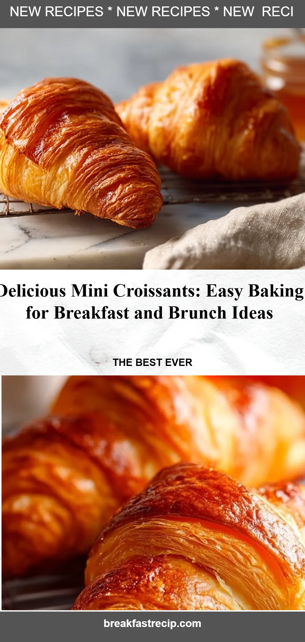 Mini Croissants 5 Mini Croissants