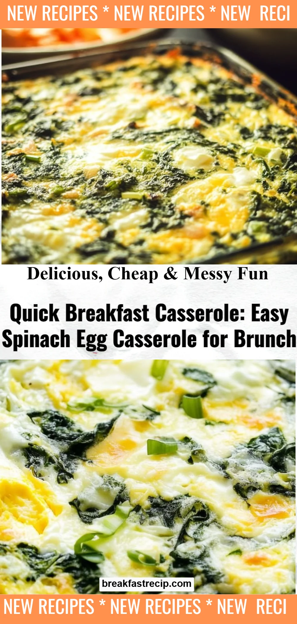 Quick Spinach Egg Casserole 5 Quick Spinach Egg Casserole