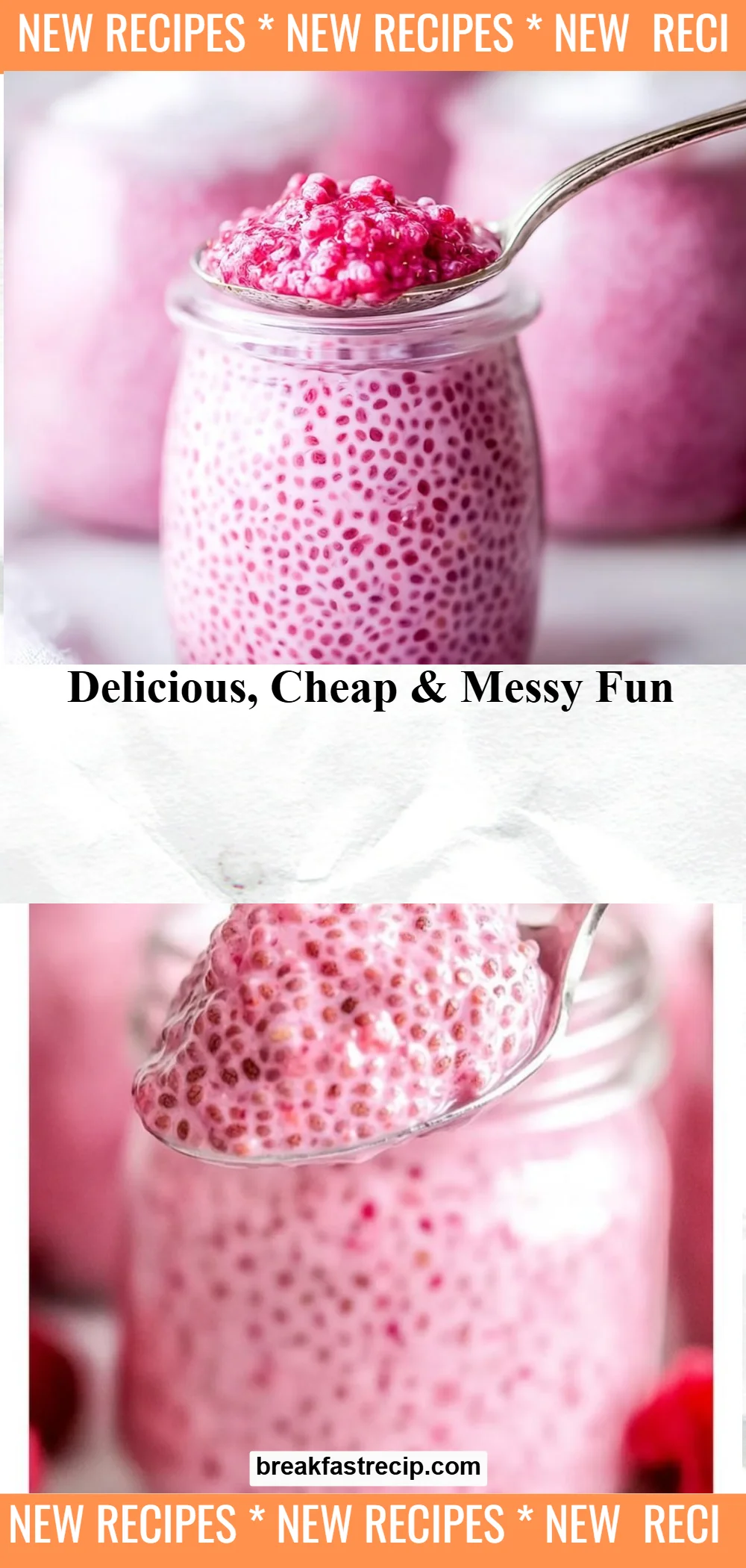 Raspberry Chia Pudding