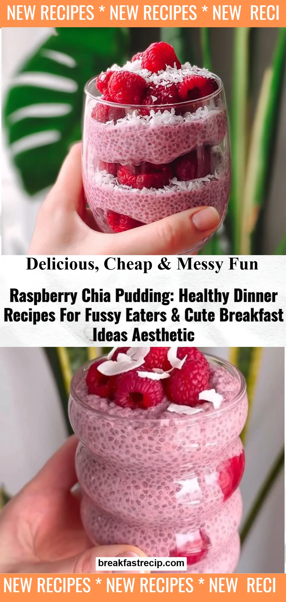 Raspberry Chia Pudding