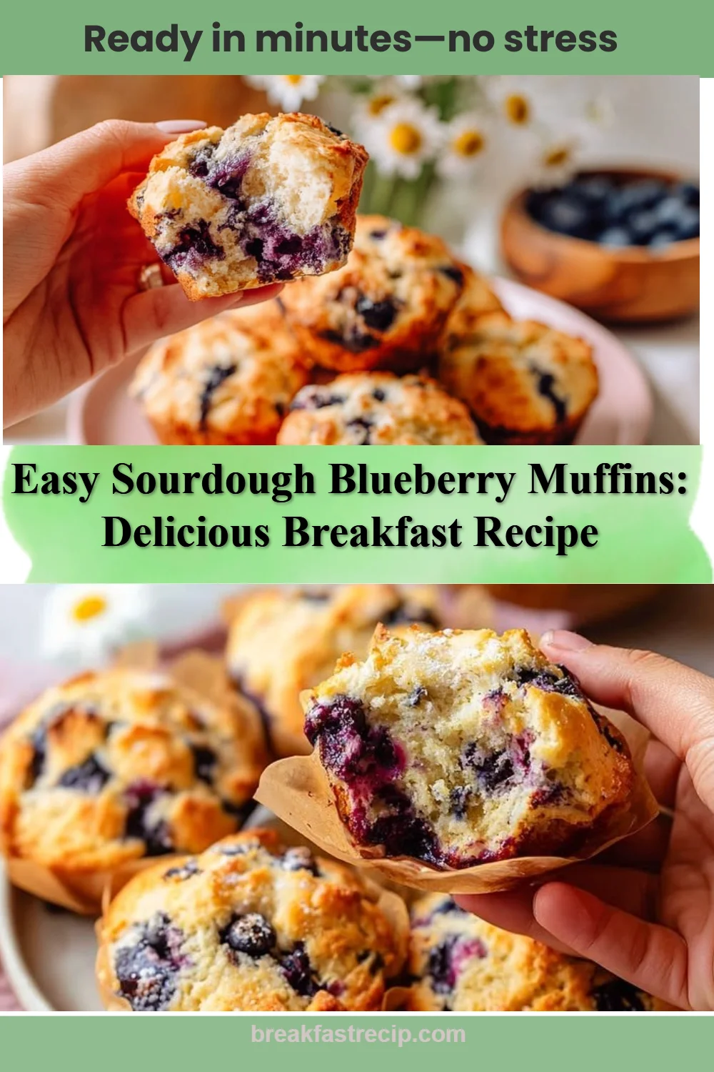 Simple Sourdough Blueberry Muffins 6 Simple Sourdough Blueberry Muffins
