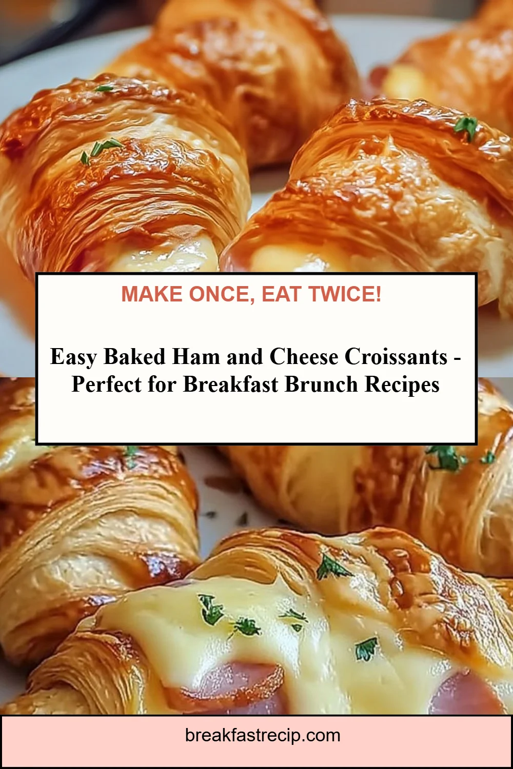 Baked Ham and Cheese Croissants 6 Baked Ham and Cheese Croissants