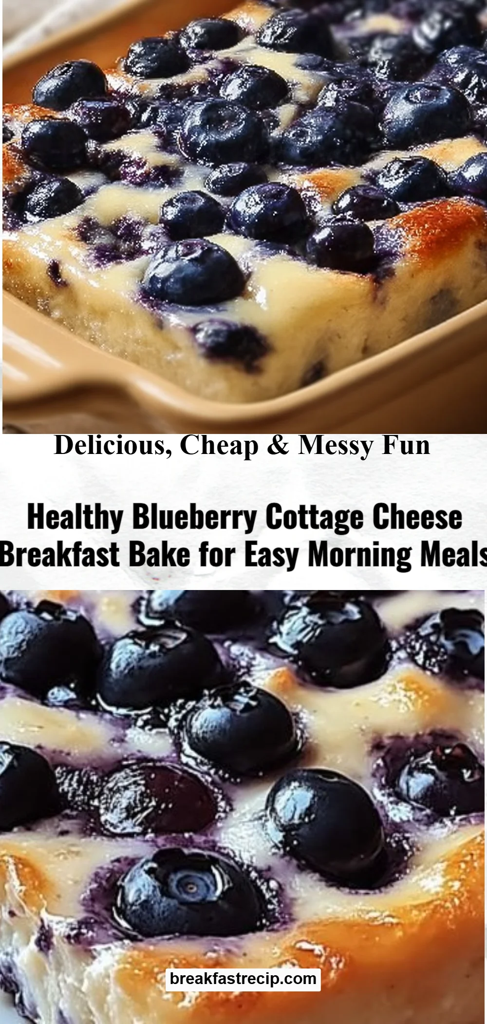 Blueberry Cottage Cheese Breakfast Bake