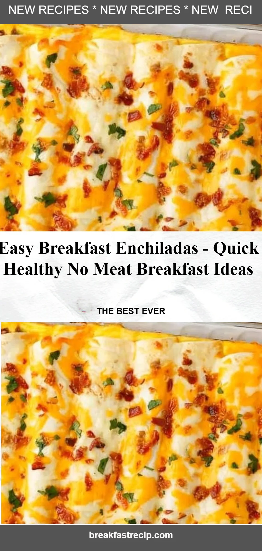 Breakfast Enchiladas 5 Breakfast Enchiladas