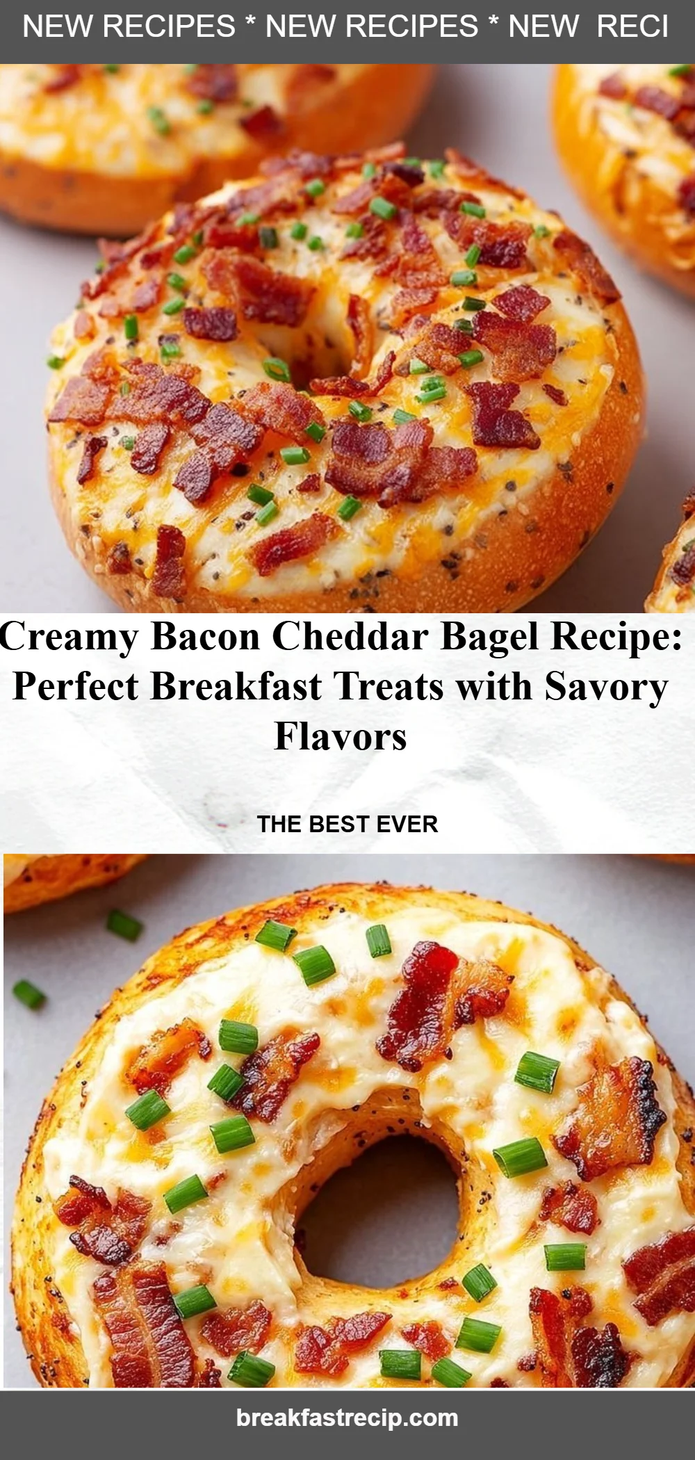 Creamy Bacon Cheddar Bagels