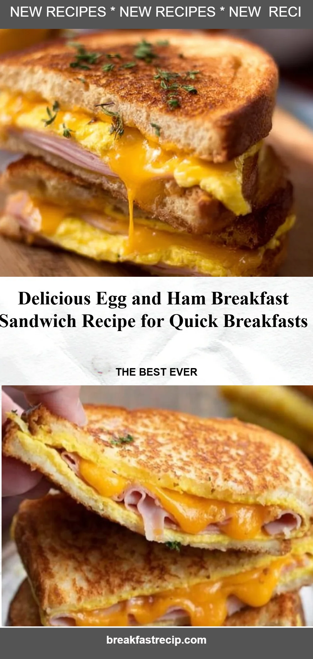 Egg and Ham Breakfast Sandwich
