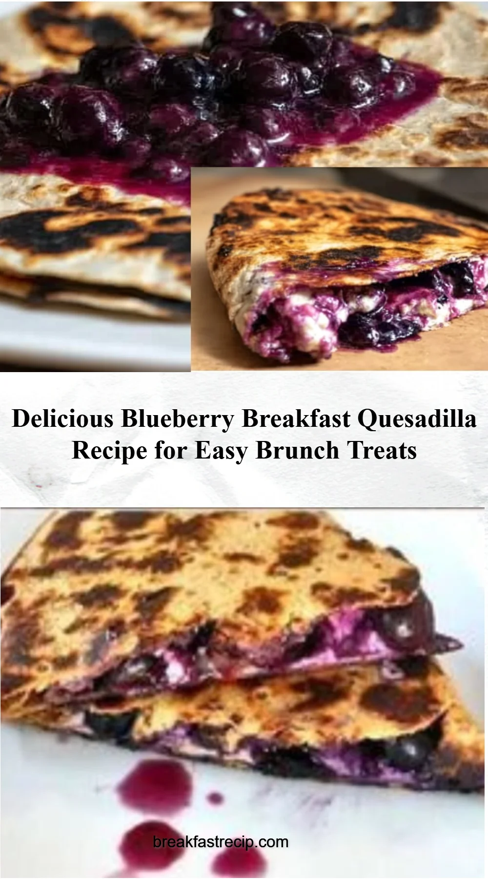 Fruit Quesadillas