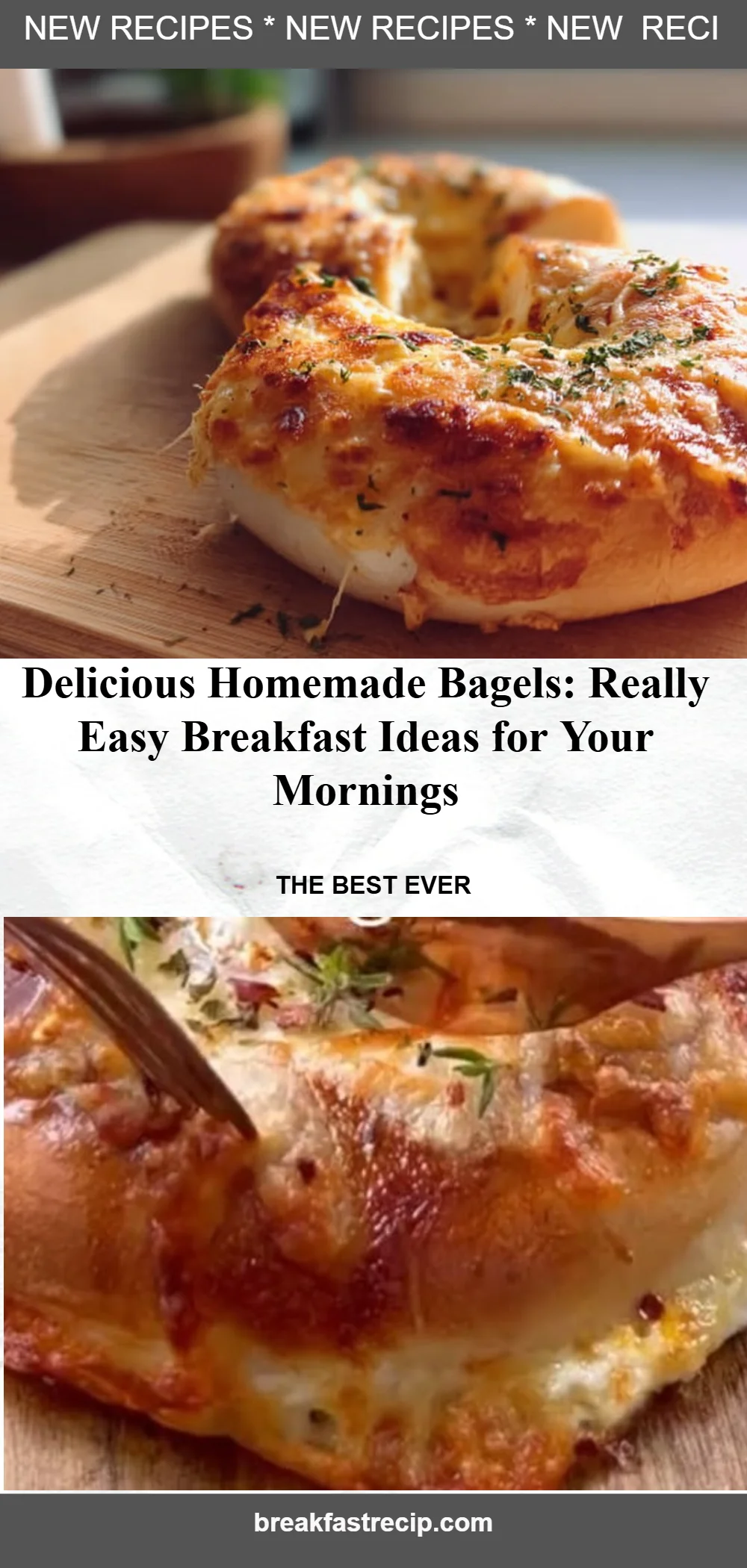 Homemade Bagels