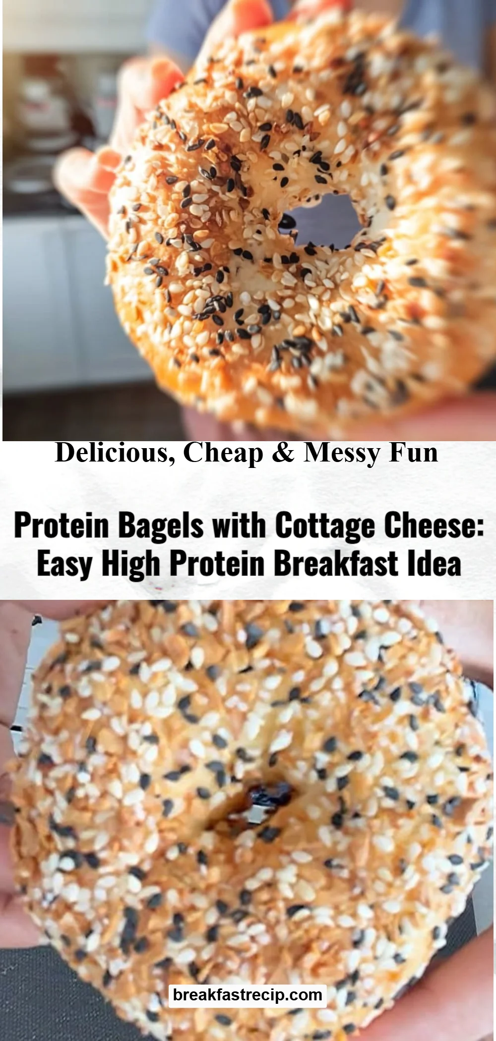 Protein Bagels with Cottage Cheese 8 Protein Bagels with Cottage Cheese