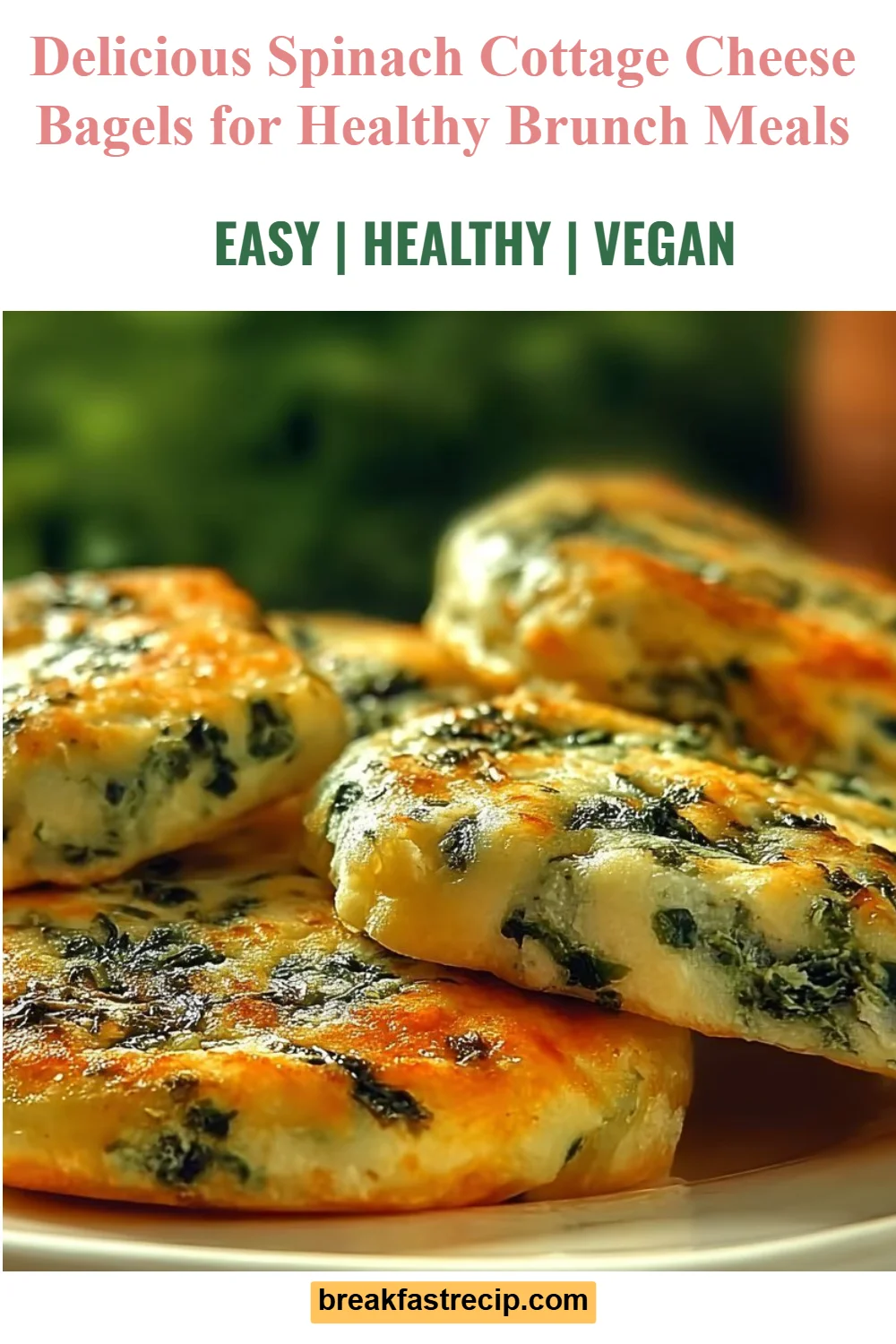 Spinach Cottage Cheese Bagels 6 Spinach Cottage Cheese Bagels