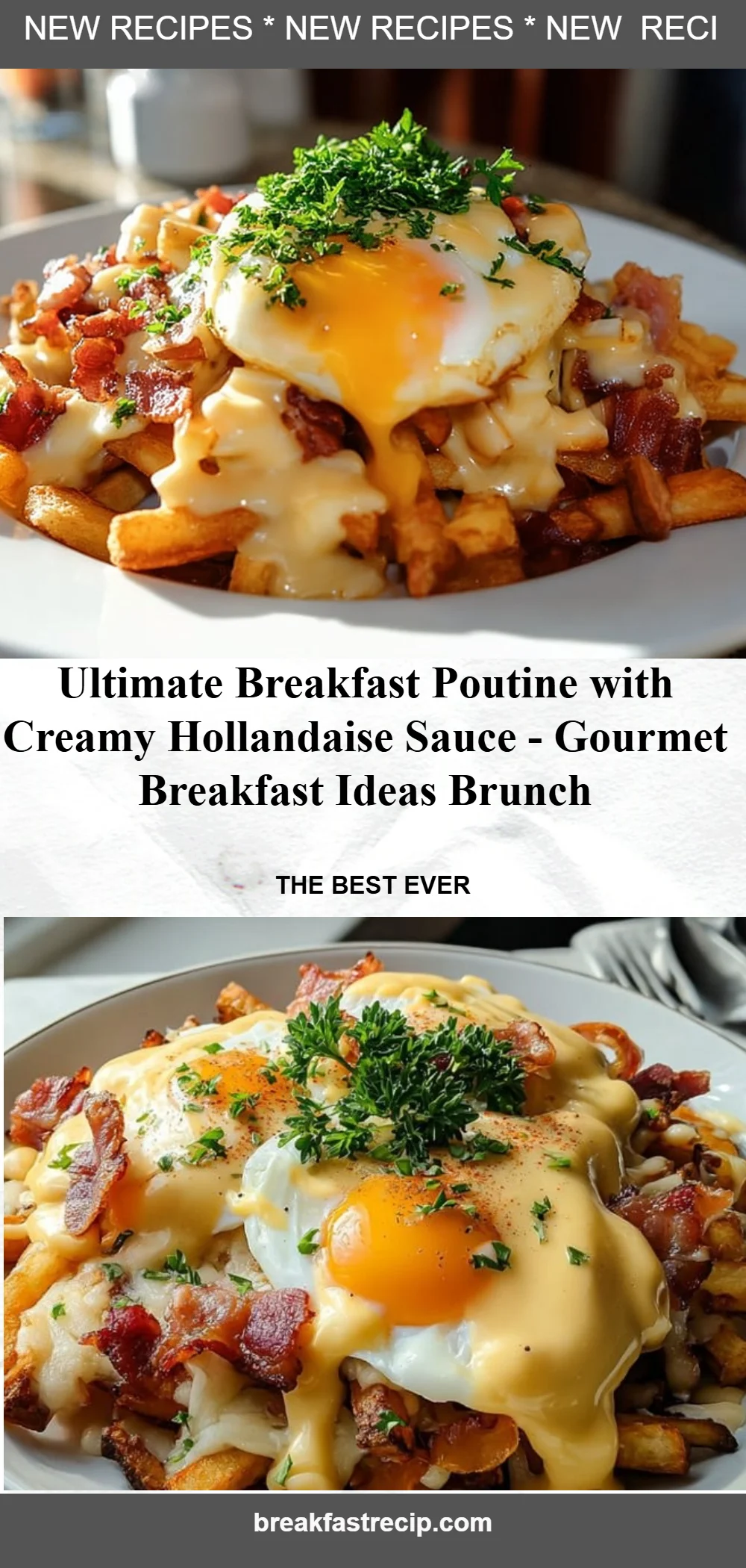 Ultimate Breakfast Poutine with Creamy Hollandaise Sauce