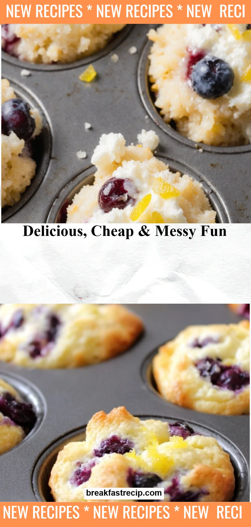 Blueberry and Lemon Zest Cottage Cheese Bites