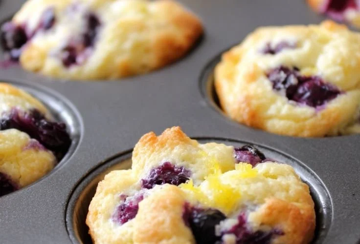 Blueberry and Lemon Zest Cottage Cheese Bites