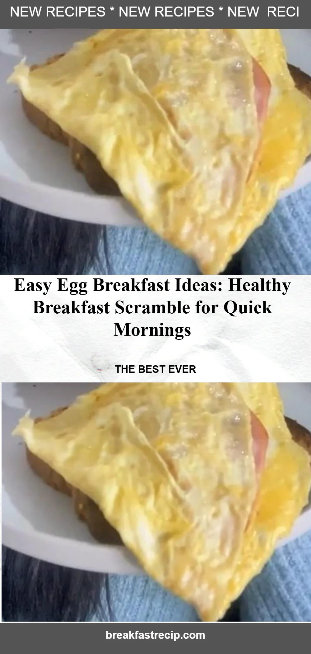 Breakfast Scramble: A Wholesome Start to Your Day 6 Breakfast Scramble: A Wholesome Start to Your Day