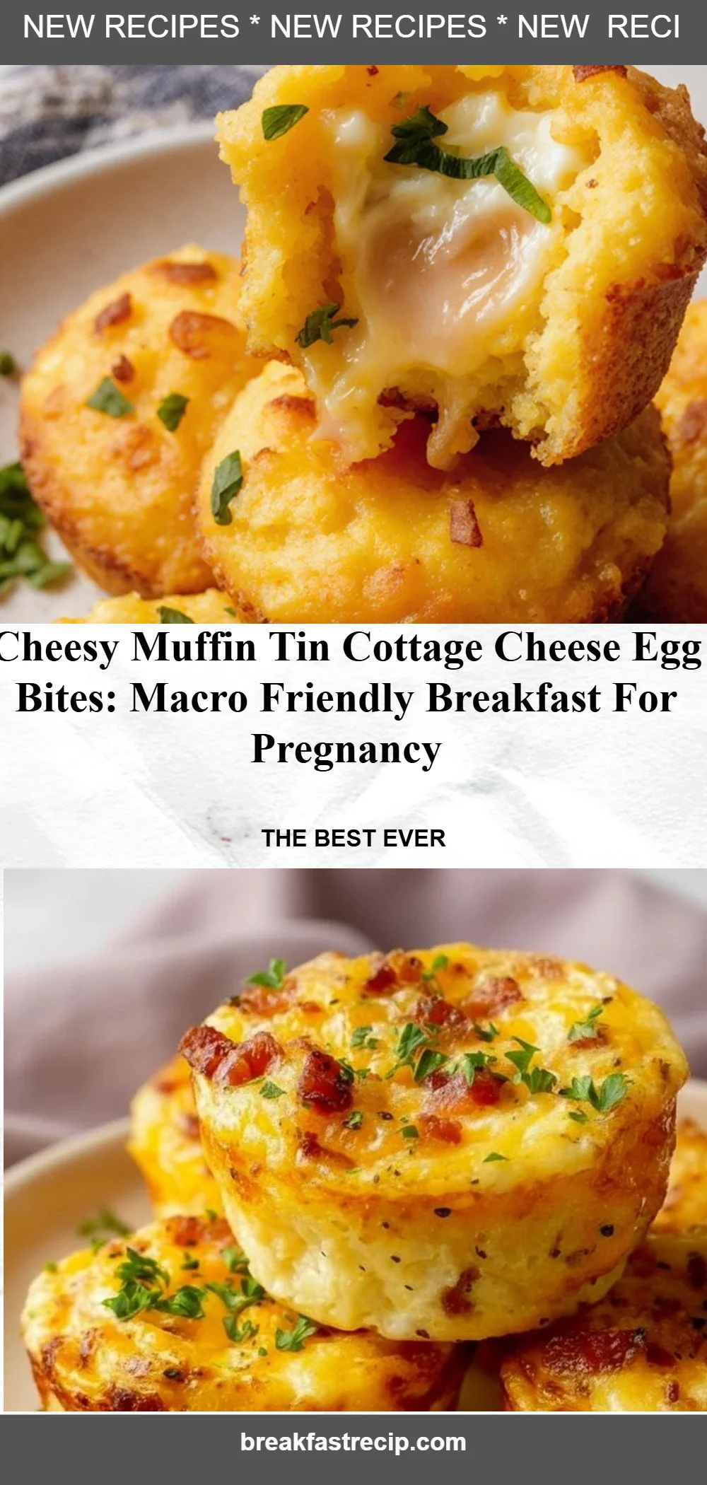 Cheesy Muffin Tin Cottage Cheese Egg Bites 6 Cheesy Muffin Tin Cottage Cheese Egg Bites