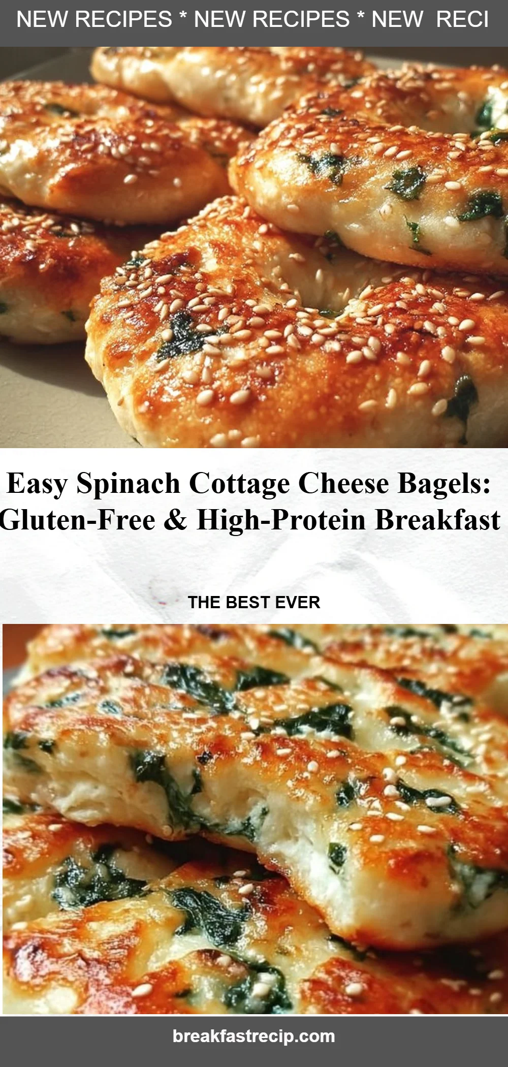 Easy Spinach Cottage Cheese Flat Bagels