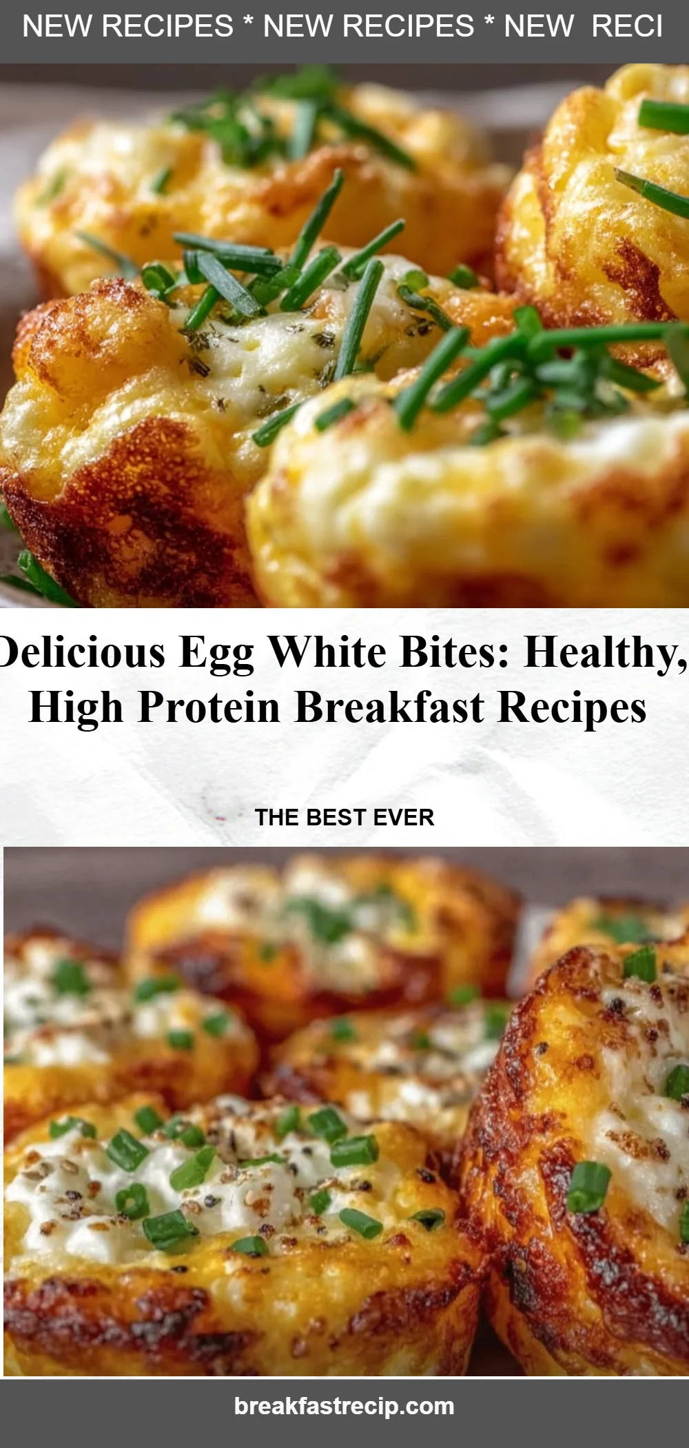 Egg White Bites