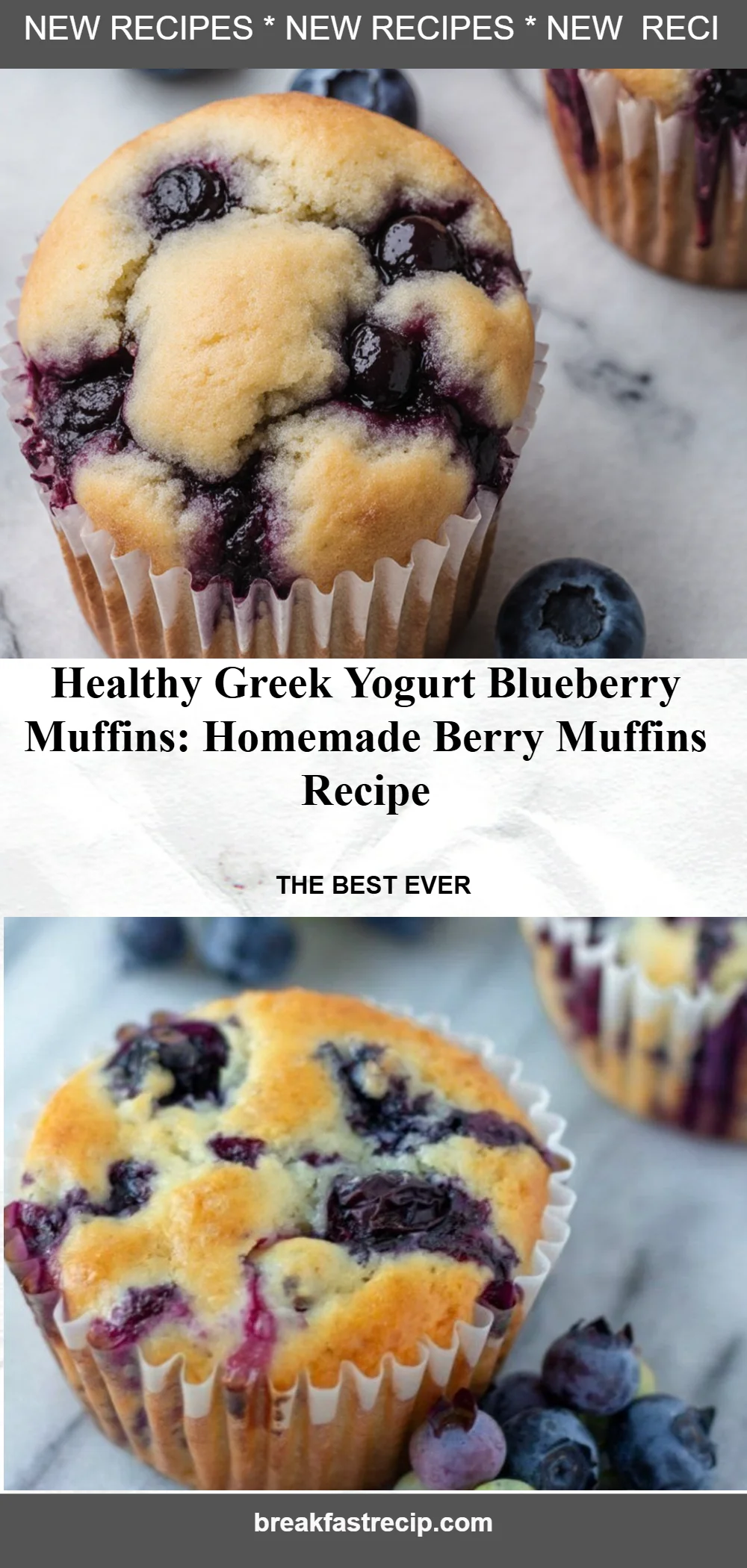 Greek Yogurt Blueberry Muffins 6 Greek Yogurt Blueberry Muffins