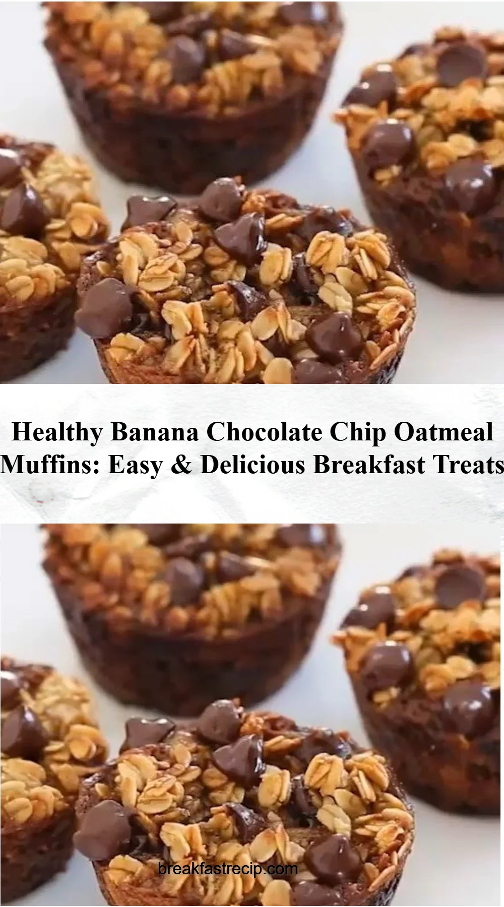 Healthy Banana Chocolate Chip Oatmeal Muffins