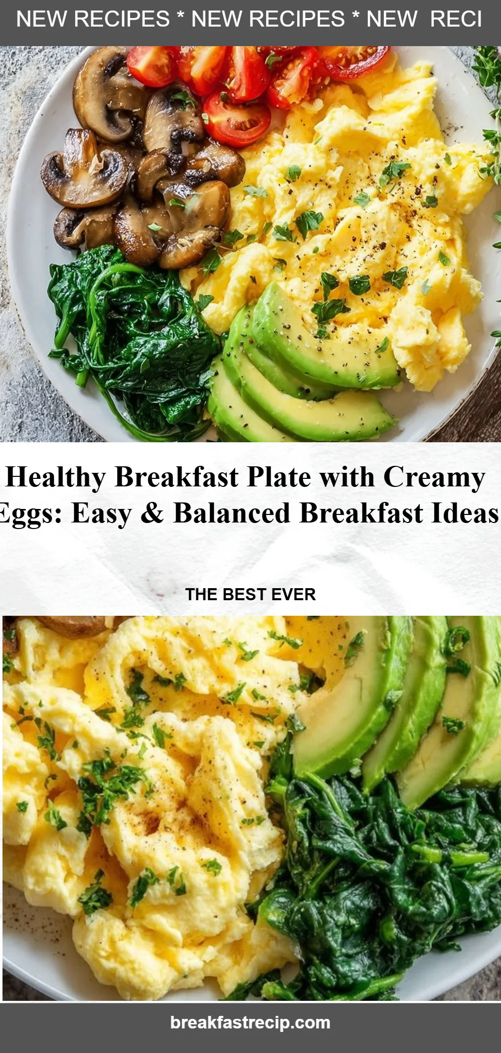 Healthy Breakfast Plate with Creamy Eggs