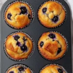 hearty blueberry protein muffins 2026 04 05 194646 1