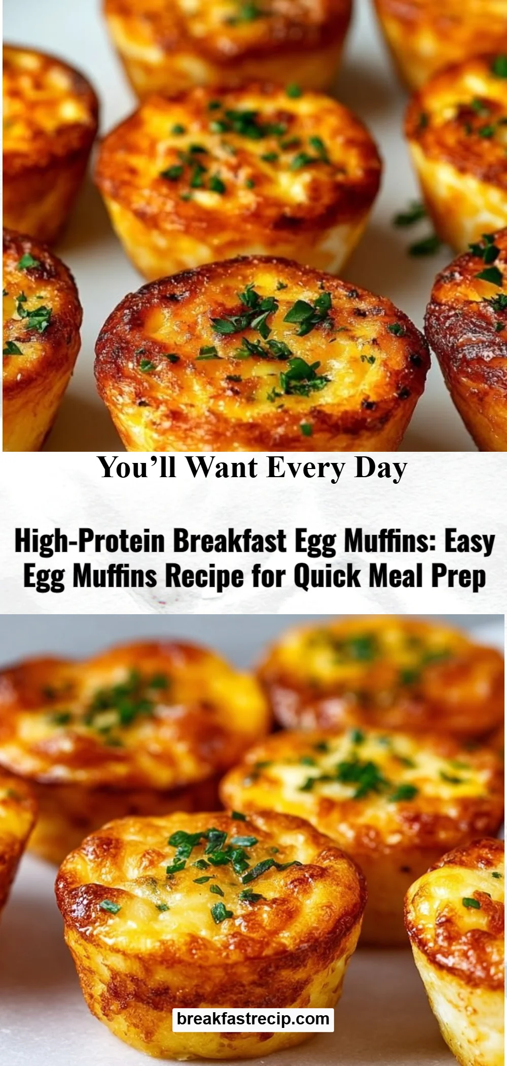 High-Protein Breakfast Egg Muffins