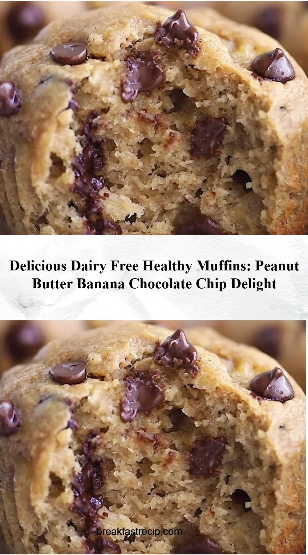 Peanut Butter Banana Muffins