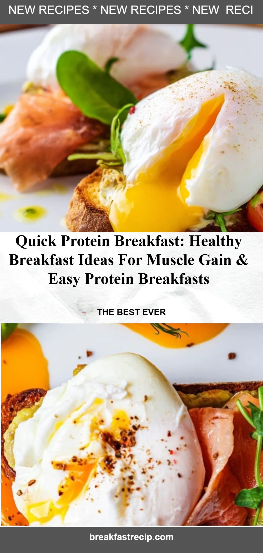 Quick Protein Breakfast 6 Quick Protein Breakfast