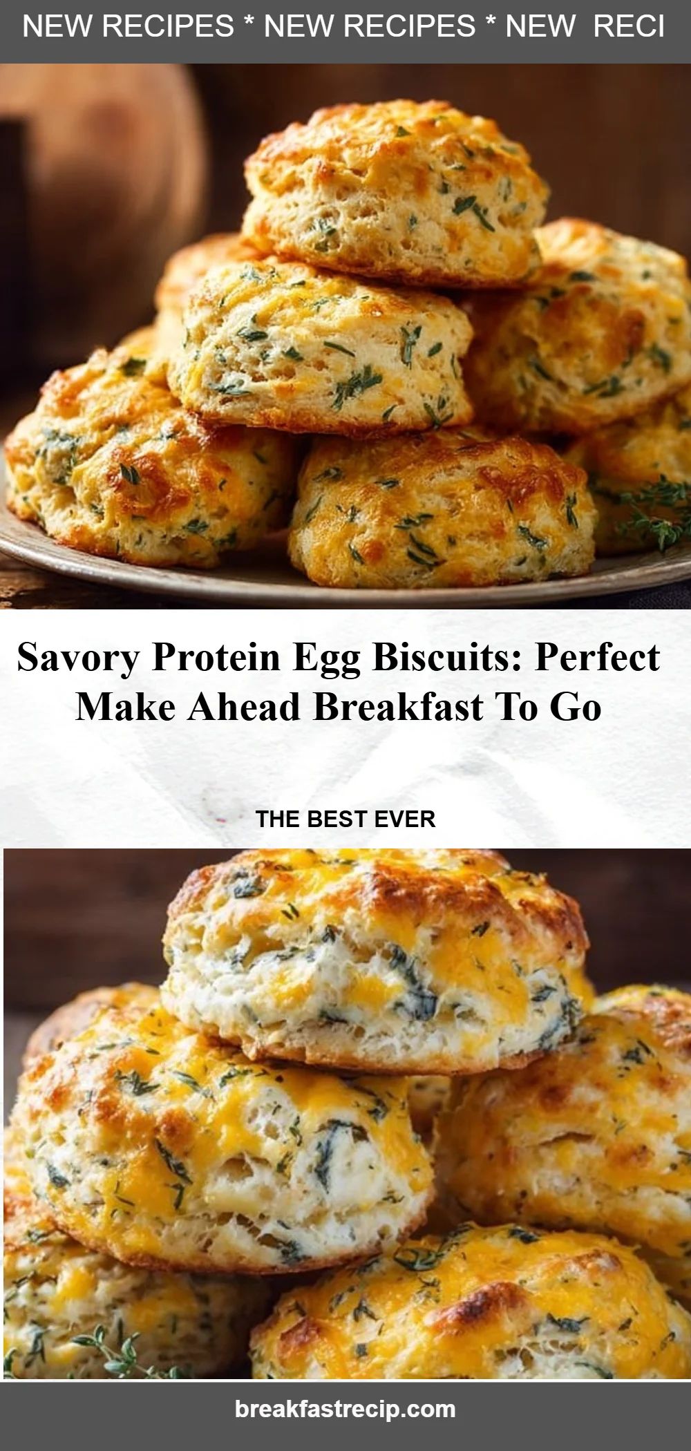Savory Protein Egg Biscuits 6 Savory Protein Egg Biscuits