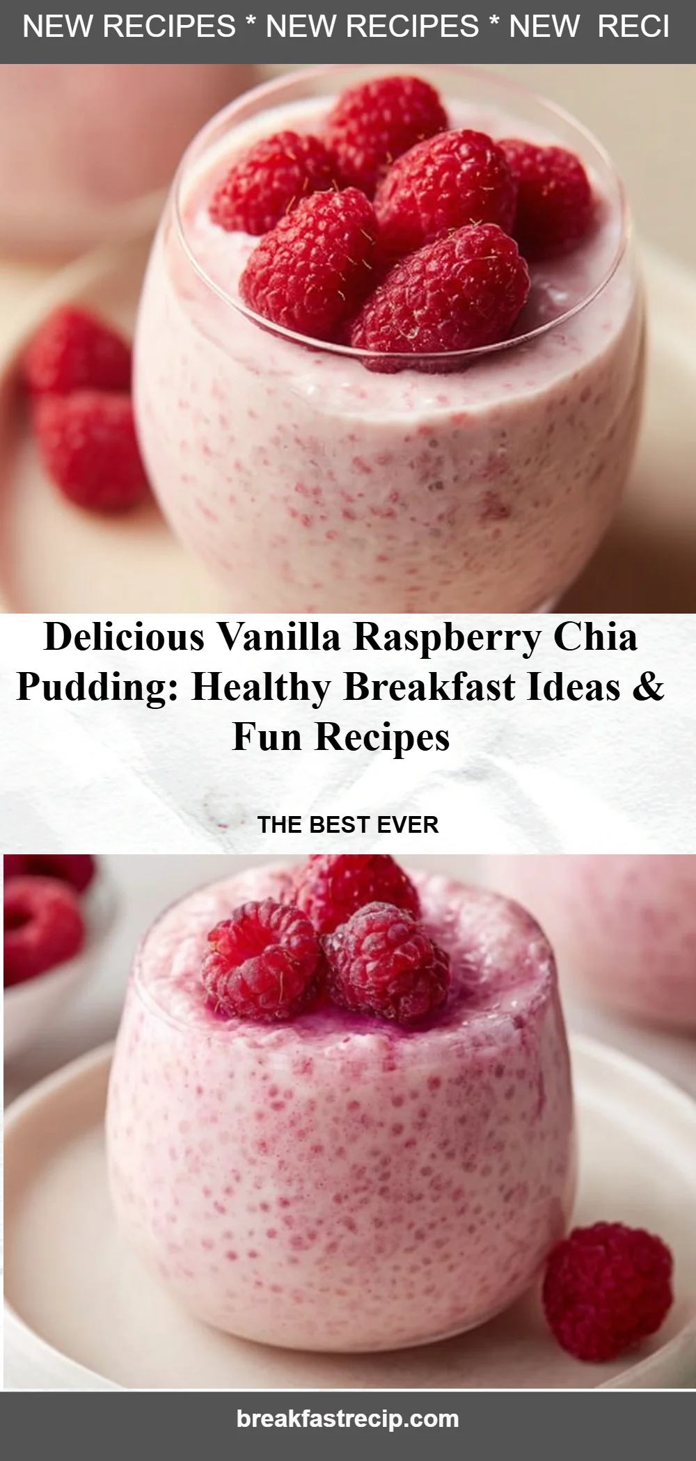 Vanilla Raspberry Chia Pudding 5 Vanilla Raspberry Chia Pudding