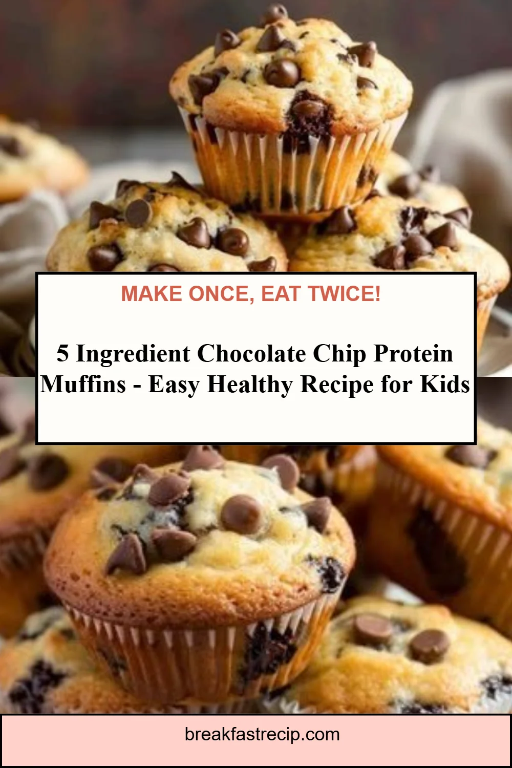 5 Ingredient Chocolate Chip Protein Muffins