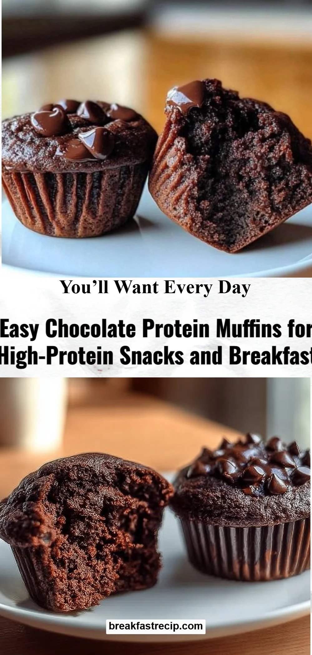 Chocolate Protein Muffins