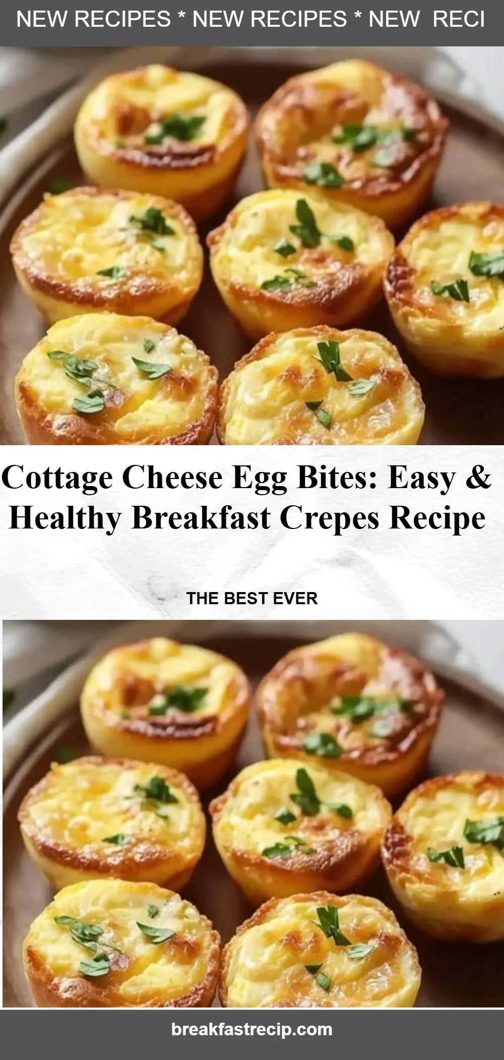 Cottage Cheese Egg Bites