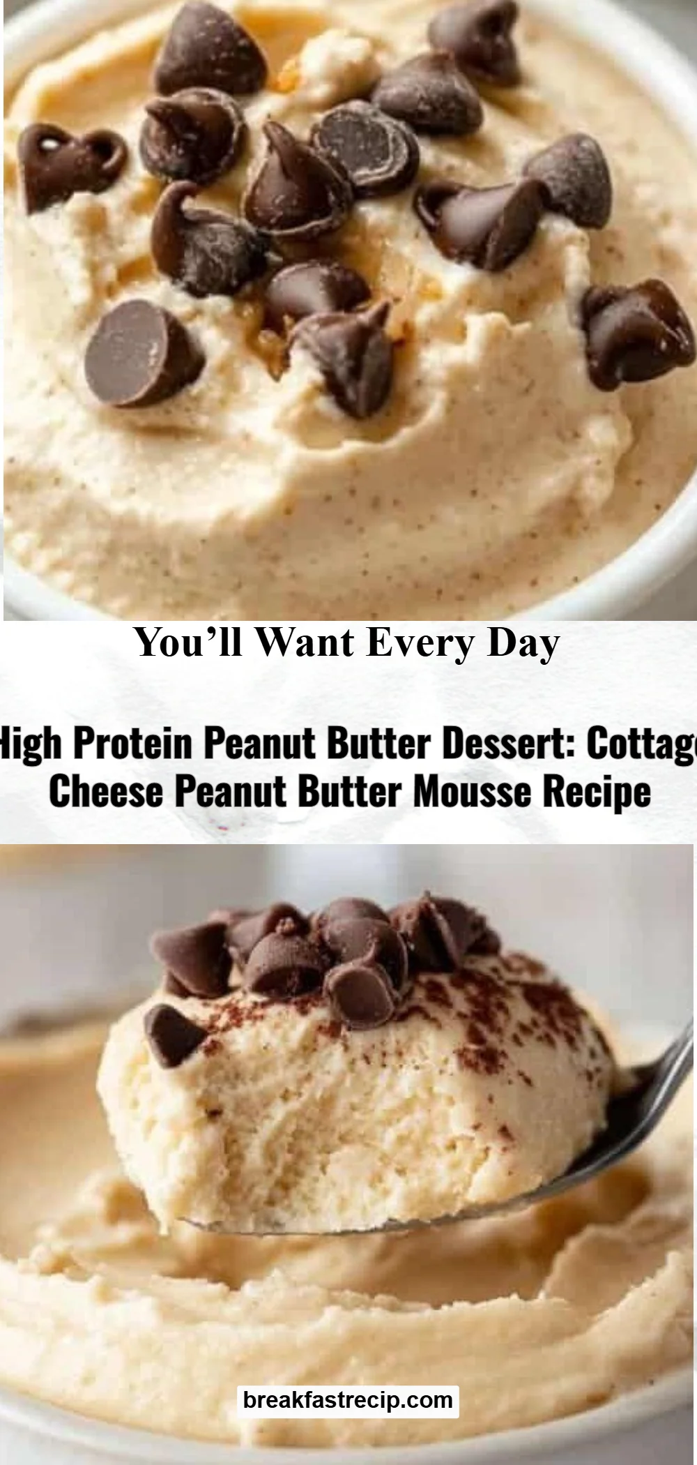Cottage Cheese Peanut Butter Mousse 7 Cottage Cheese Peanut Butter Mousse