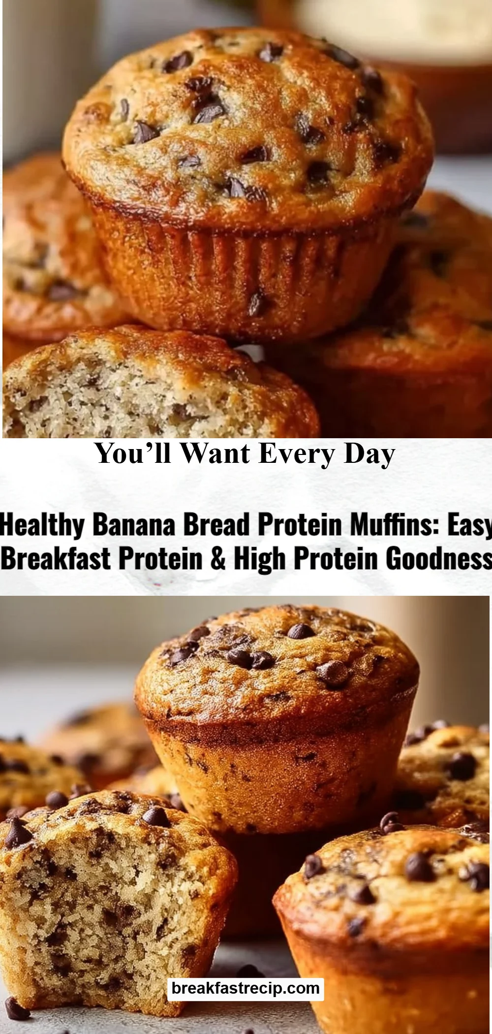 Healthy Banana Bread Protein Muffins 7 Healthy Banana Bread Protein Muffins