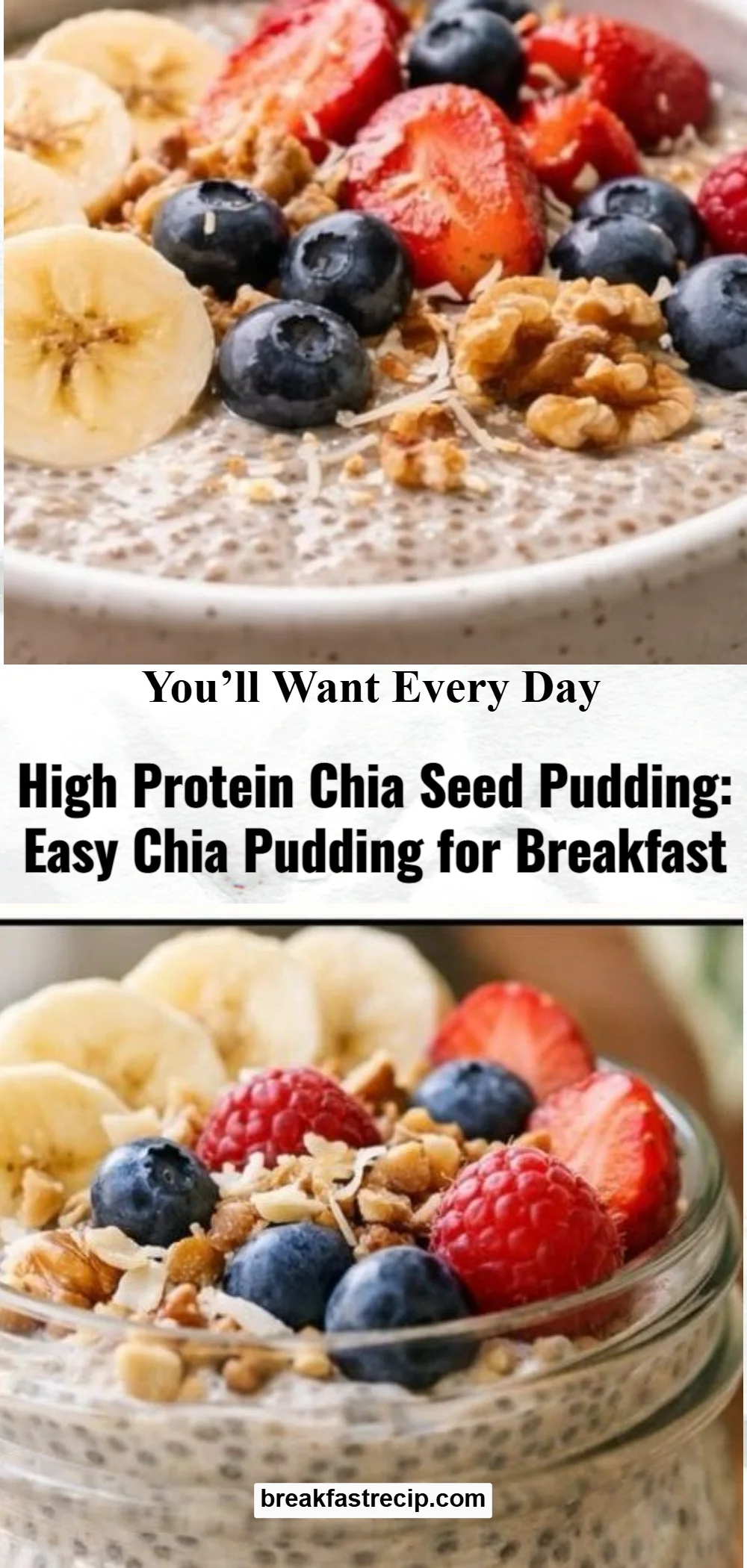High Protein Chia Seed Pudding