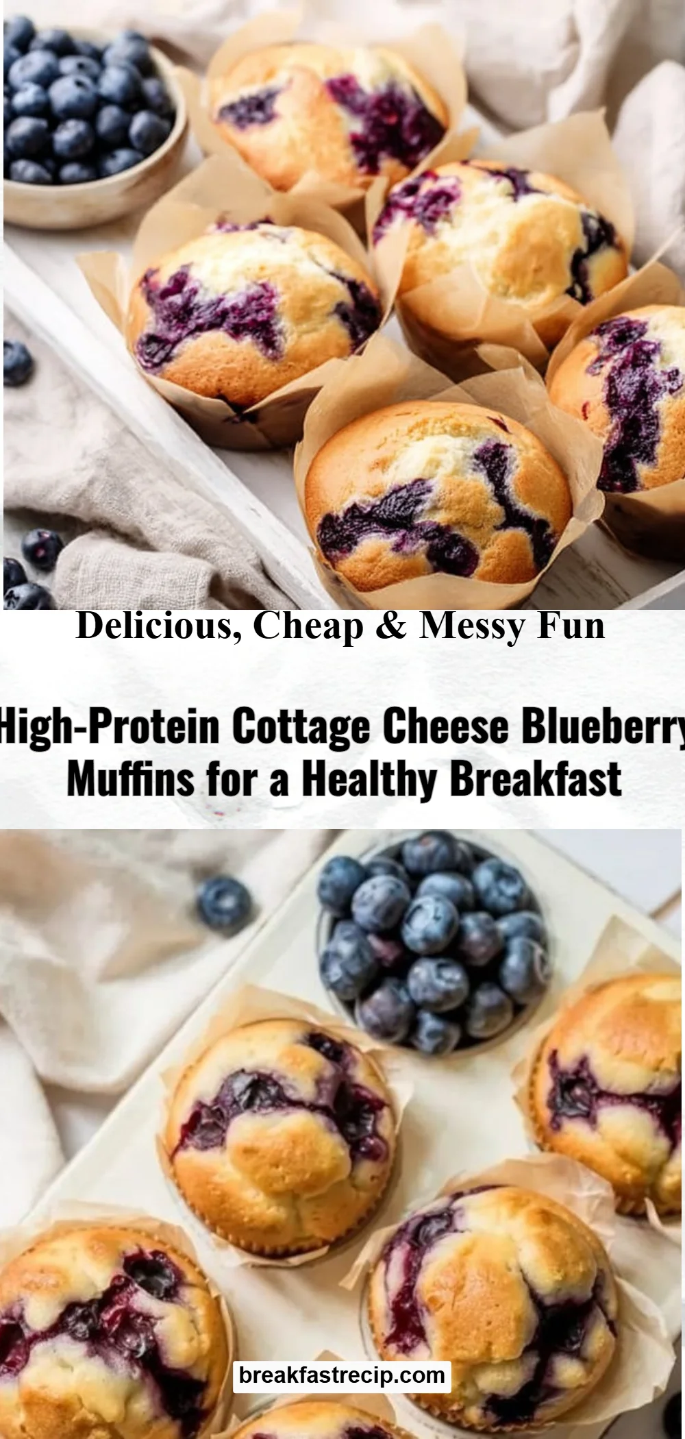 High-Protein Cottage Cheese Blueberry Muffins