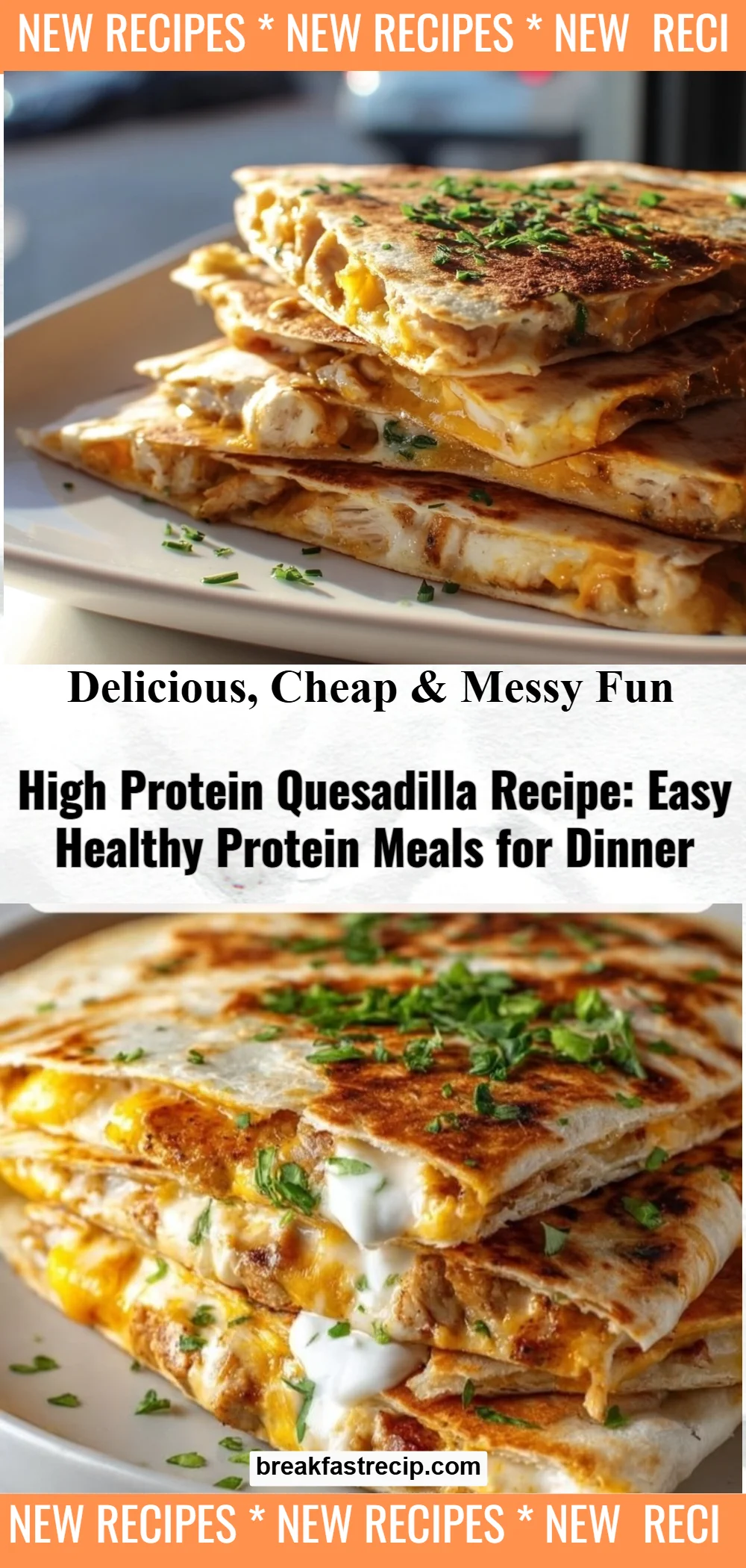 High Protein Quesadilla