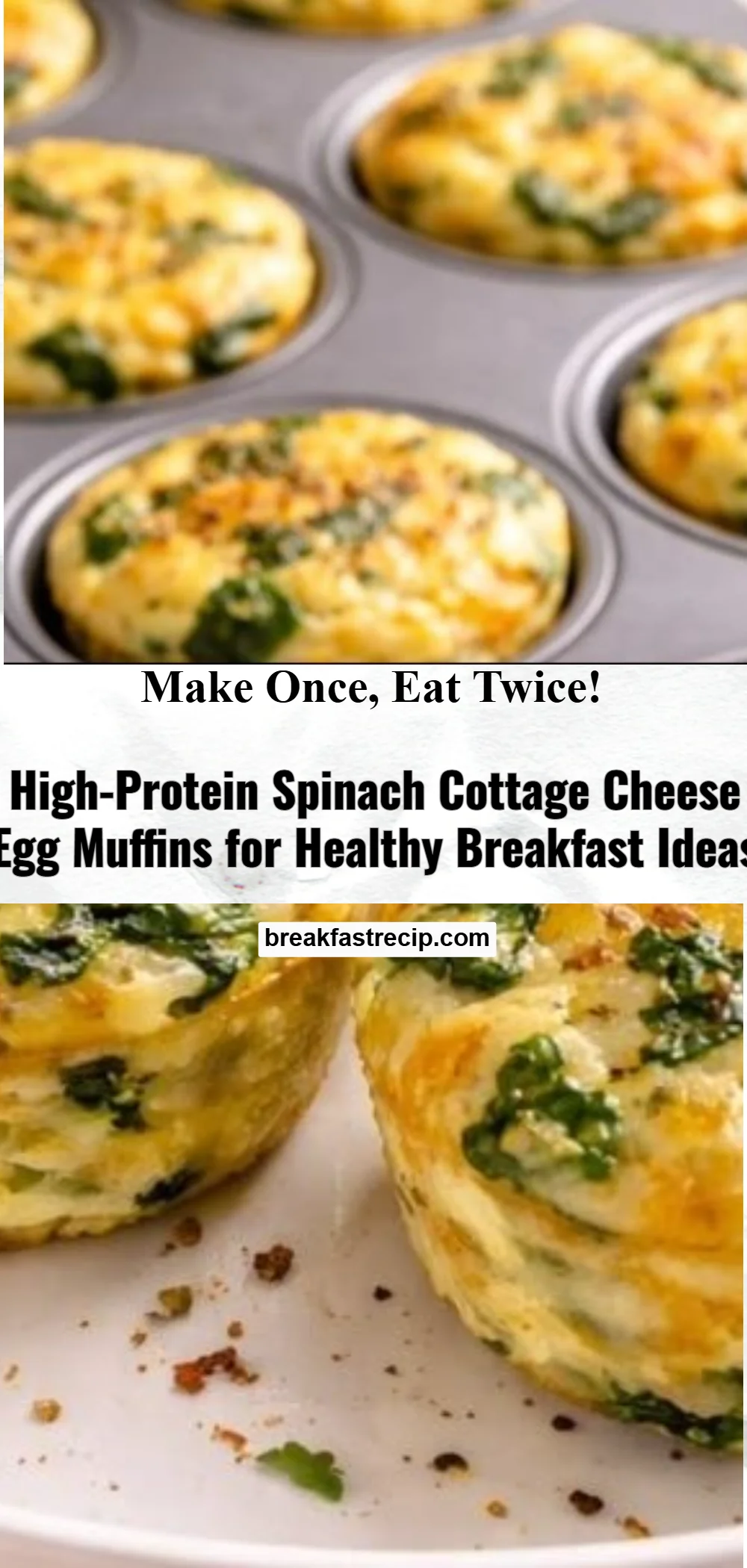 High-Protein Spinach Cottage Cheese Egg Muffins