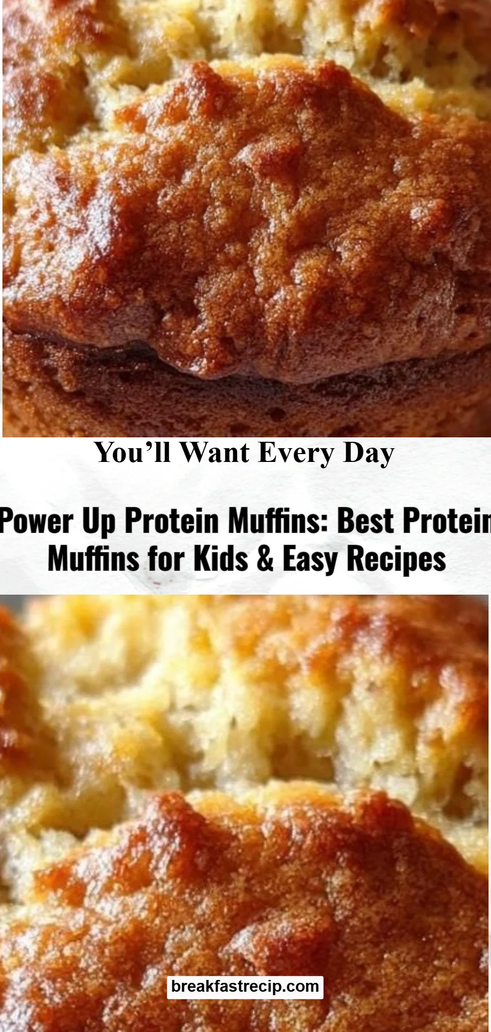 Power Up Protein Muffins