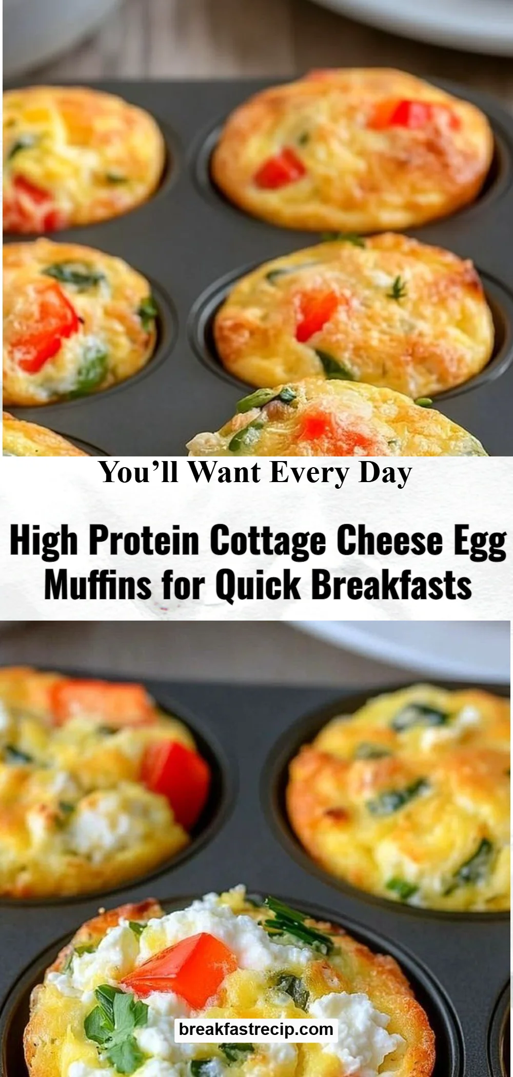 Protein-Packed Cottage Cheese Egg Muffins